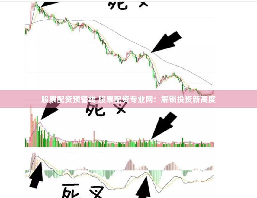 股票配资预警线 股票配资专业网：解锁投资新高度