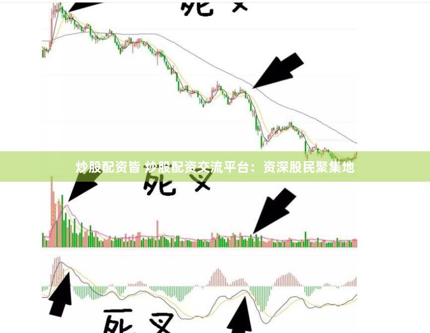 炒股配资皆 炒股配资交流平台：资深股民聚集地