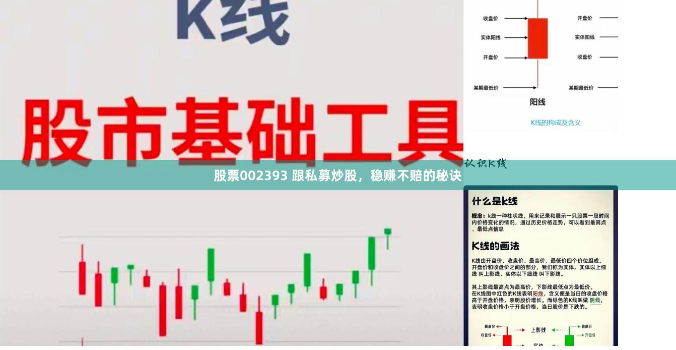 股票002393 跟私募炒股，稳赚不赔的秘诀