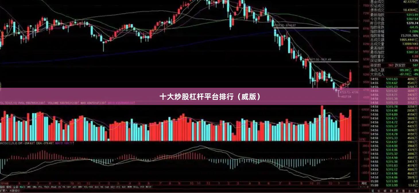 十大炒股杠杆平台排行（威版）