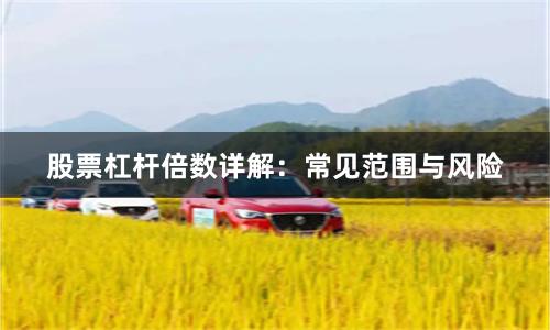 股票杠杆倍数详解：常见范围与风险