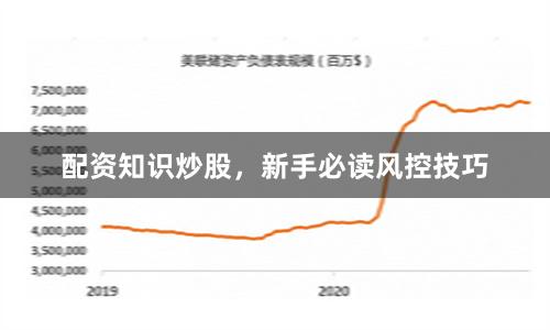 配资知识炒股，新手必读风控技巧